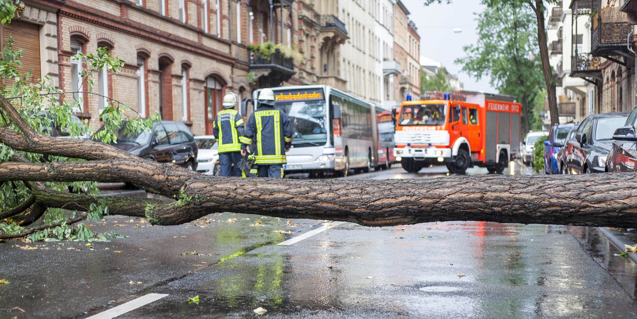 Fallen tree blocking street, fire brigade and city bus at emergency scene