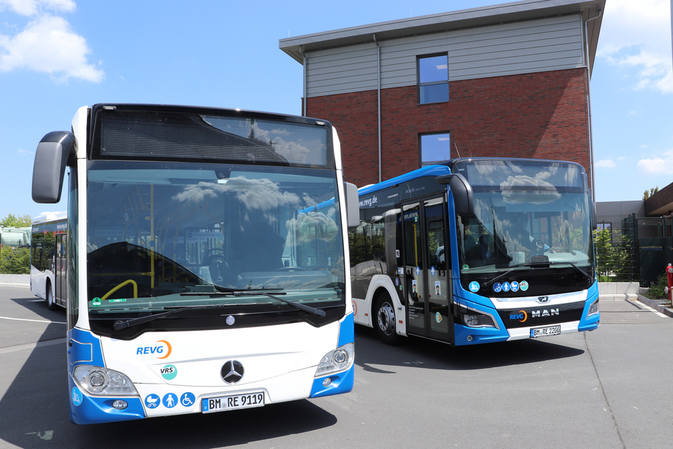 Blue and white REVG buses at the depot.