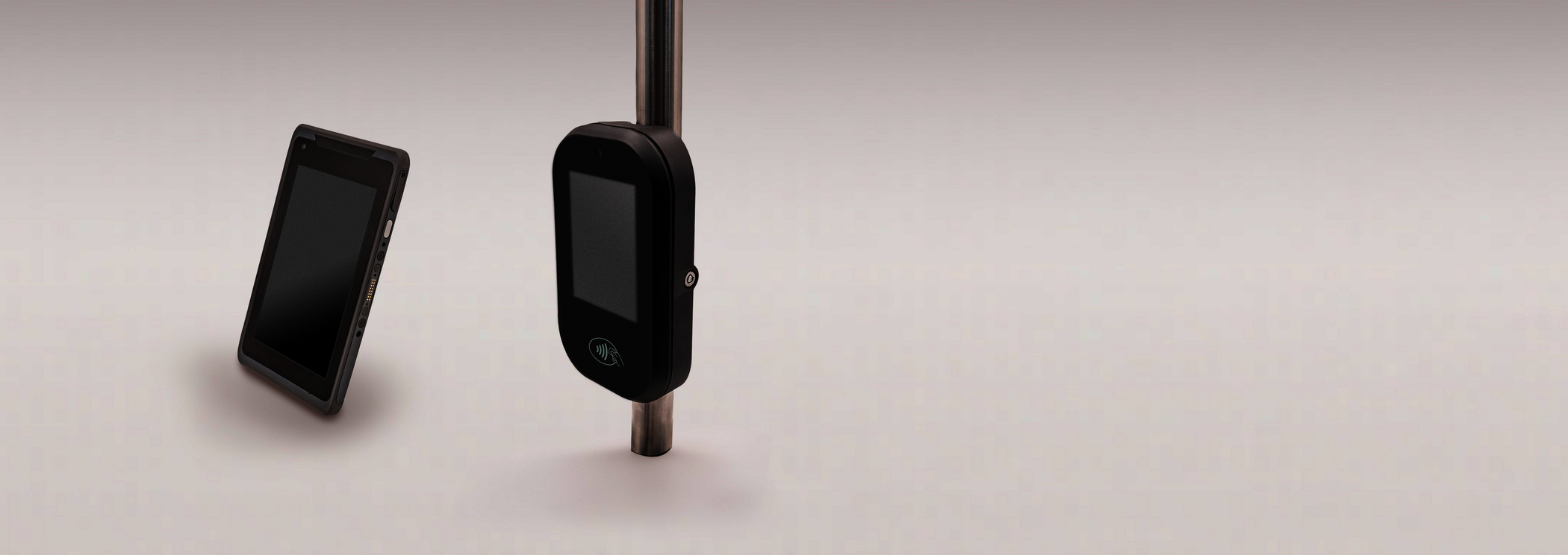 Ticket inspection devices and ticket vending terminals for public transport