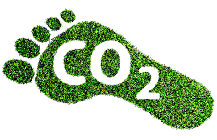 Symbolic footprint made of grass with the word CO2 in it