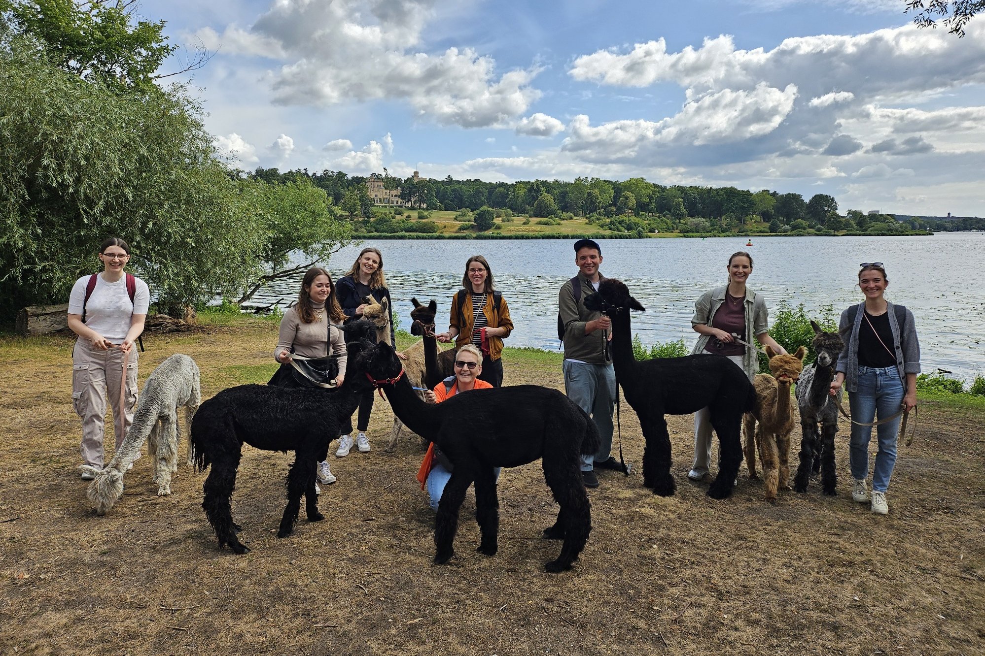 IVU-Recruitingteam bei Alpakawanderung in der Natur nahe Potsdam als Teambuilding-Event