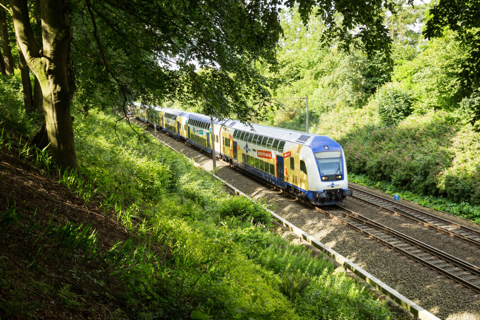 A blue and white NETINERA railway runs through a forest.