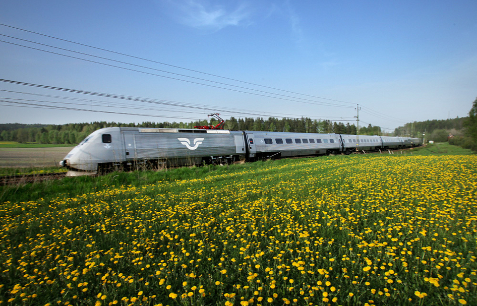 Silver SJ train drives through a landscape full of sunflowers