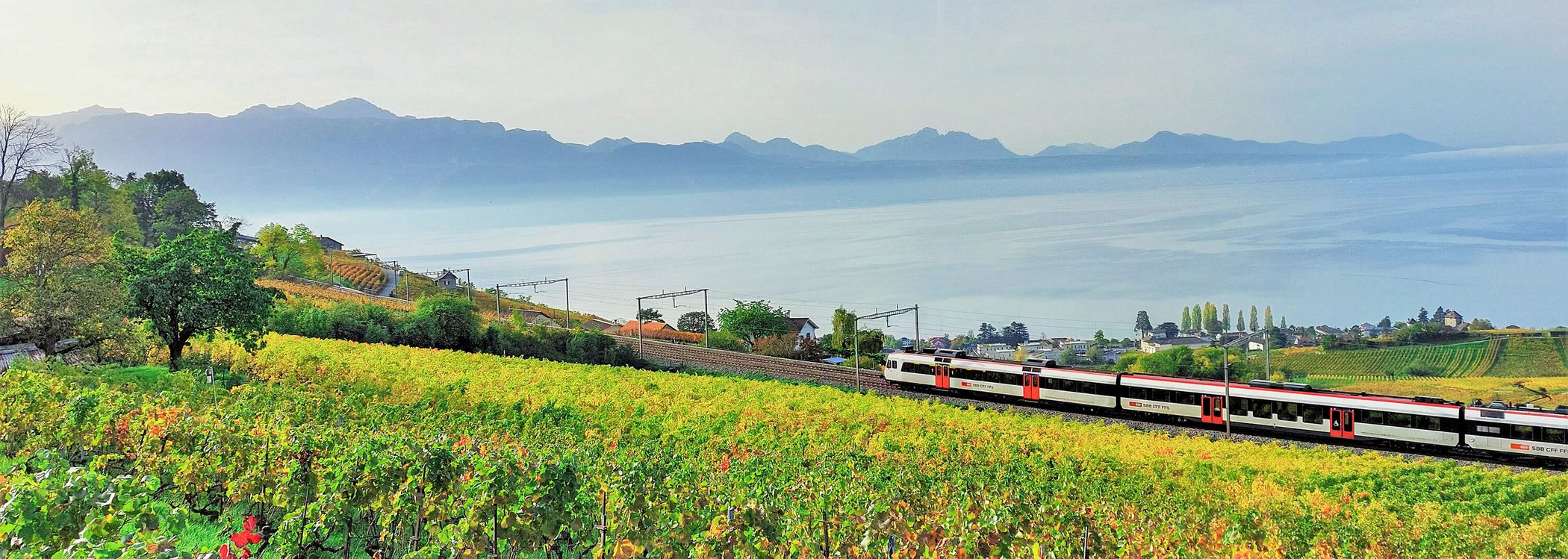 Train travelling through a green landscape with lake view as a symbol of sustainable public transport