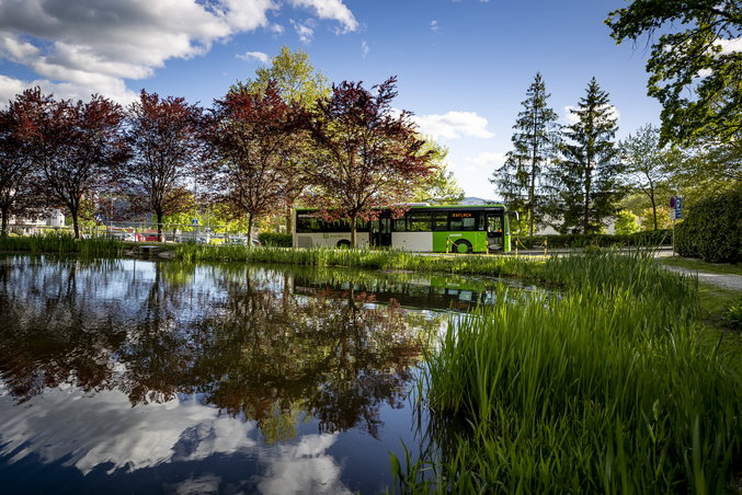 A white and green bus drives along a lake surrounded by trees in autumnal colours.