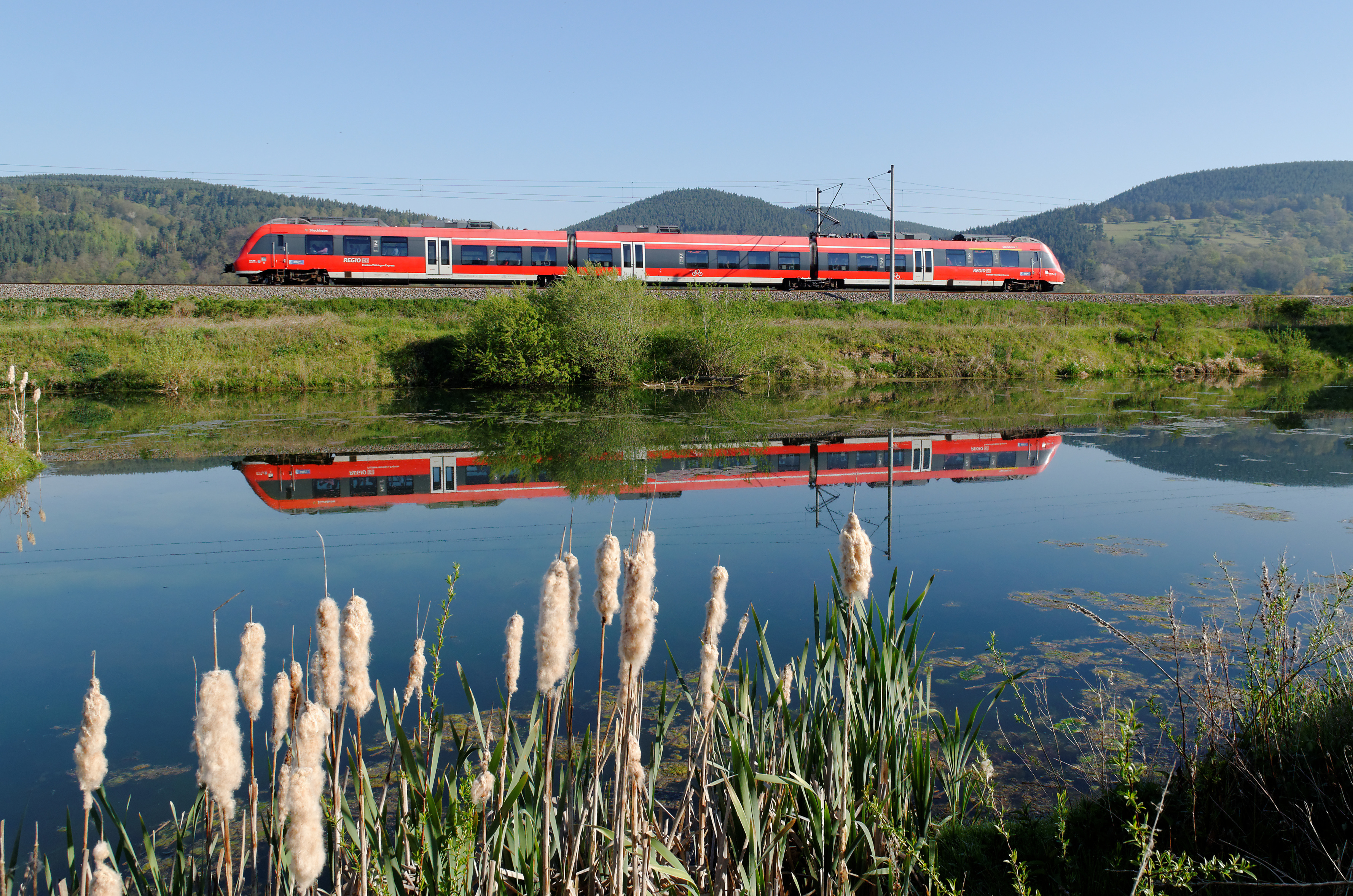 DB Regio train in red livery travelling through green landscape with water reflection in the foreground.