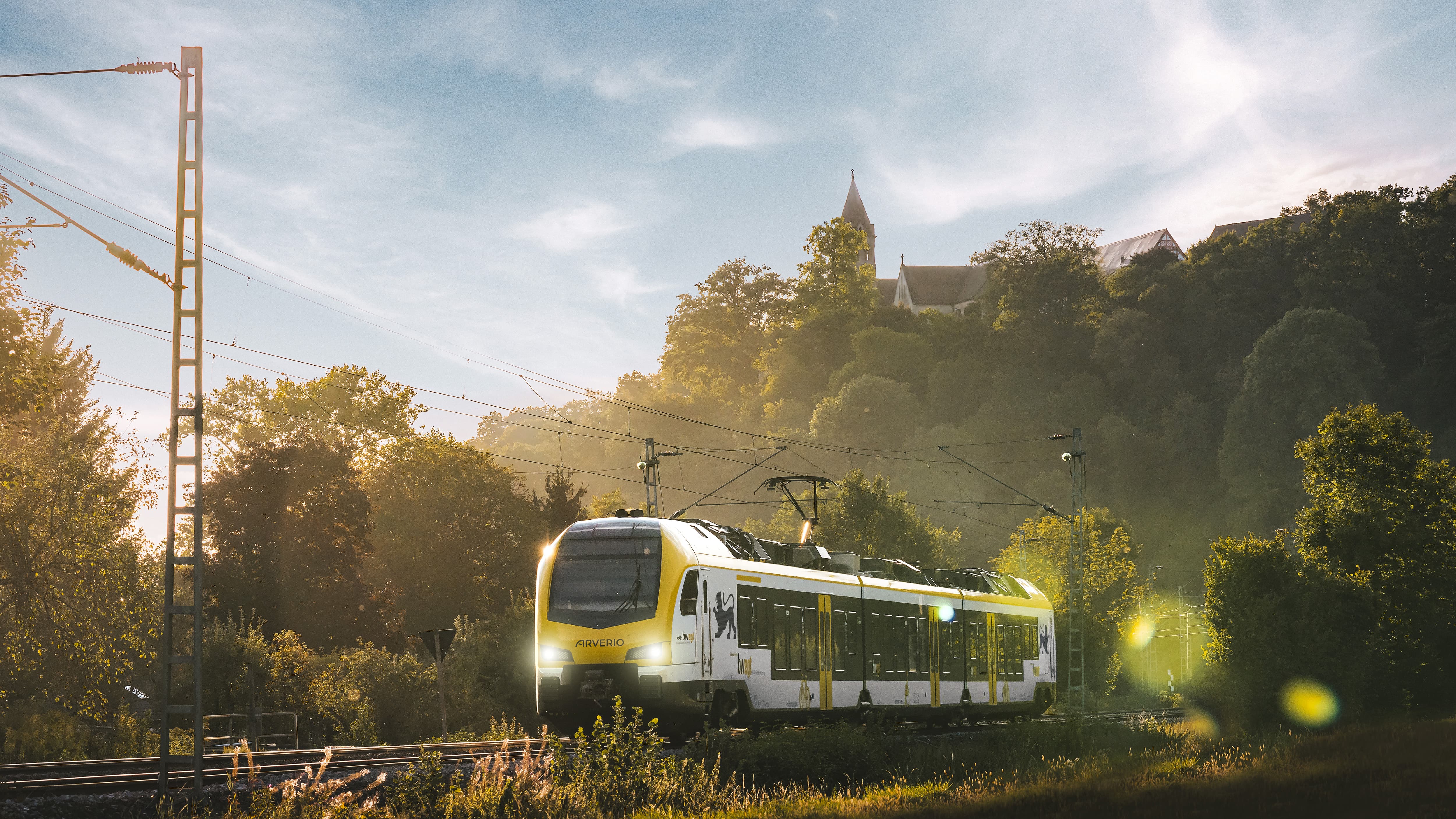 Regionalzug von Aerverio fährt durch bewaldete Landschaft im Gegenlicht
